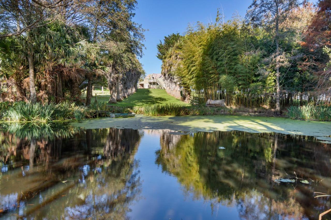 Headlands Estate Apartment Whanganui Bagian luar foto