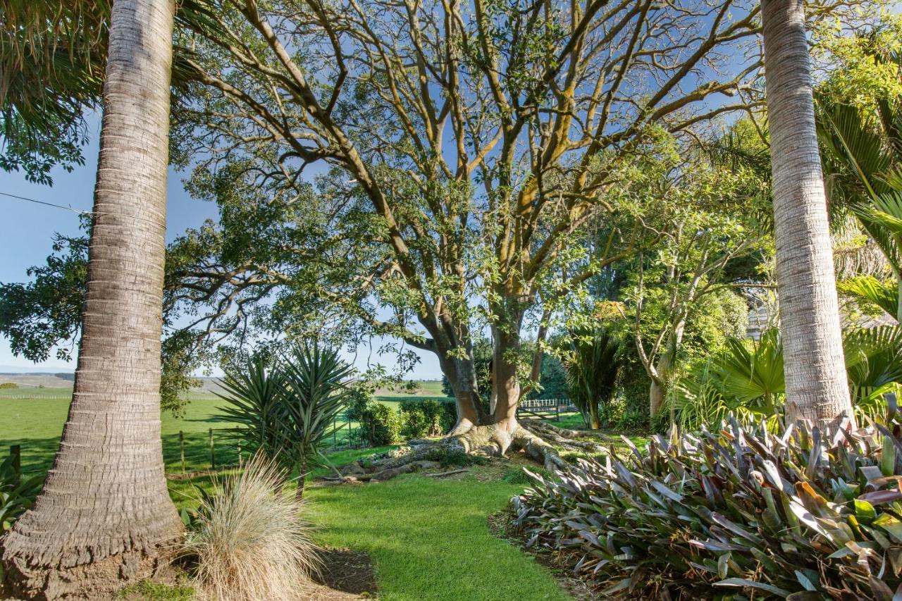 Headlands Estate Apartment Whanganui Bagian luar foto