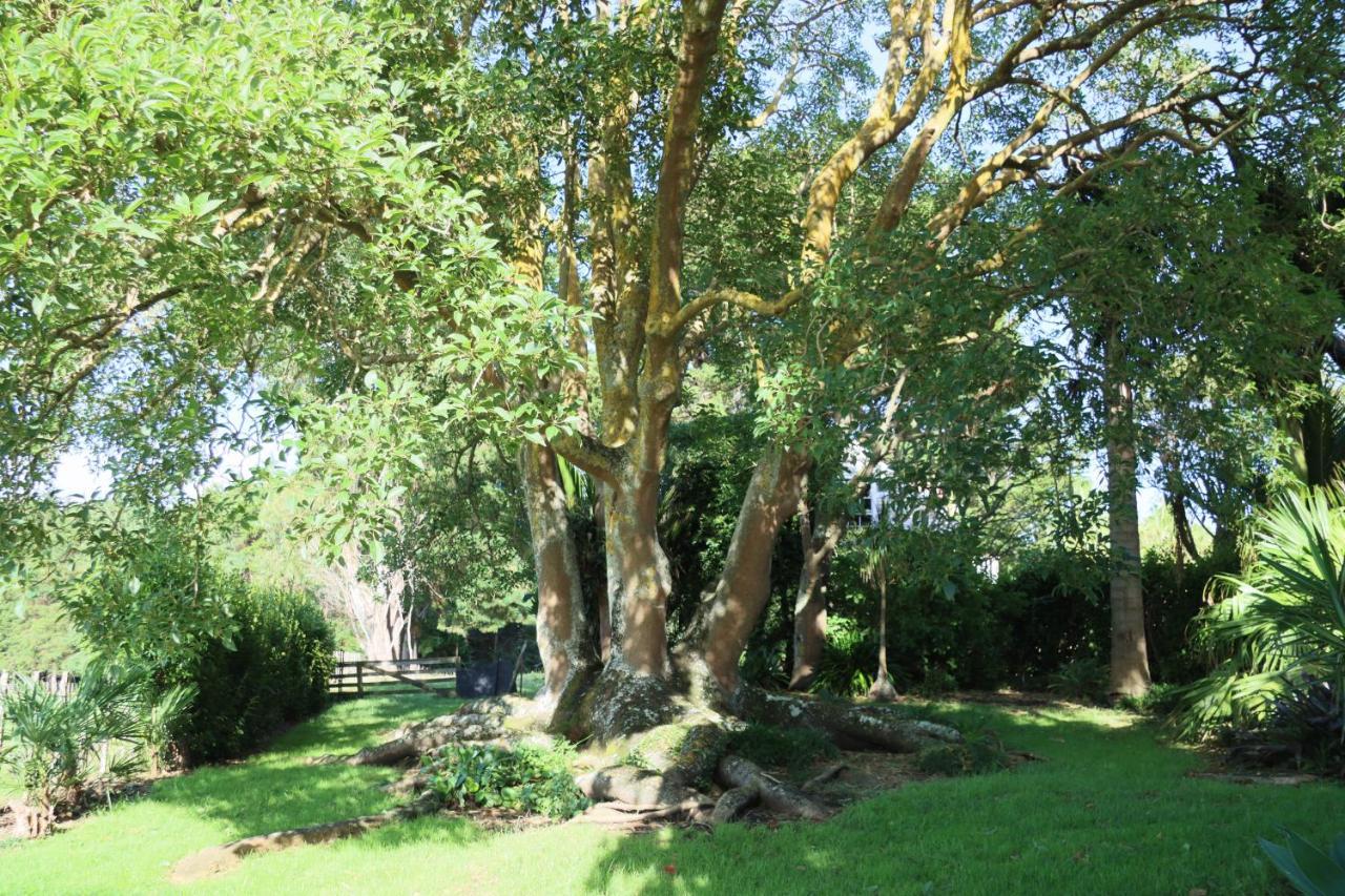 Headlands Estate Apartment Whanganui Bagian luar foto